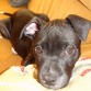 gin casi 3 meses